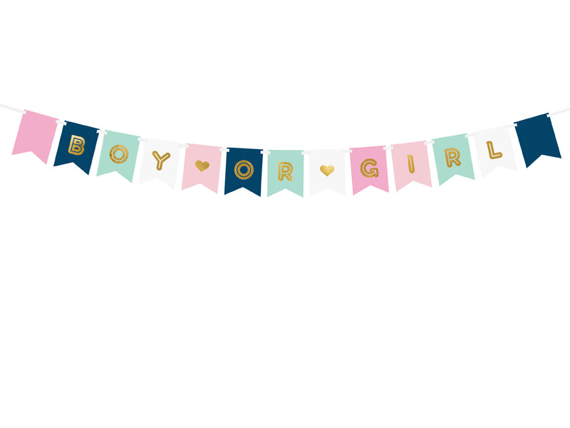 Banner-Boy-or-Girl-Mix-15-x-175-cm-PartyDeco-Lemina-1