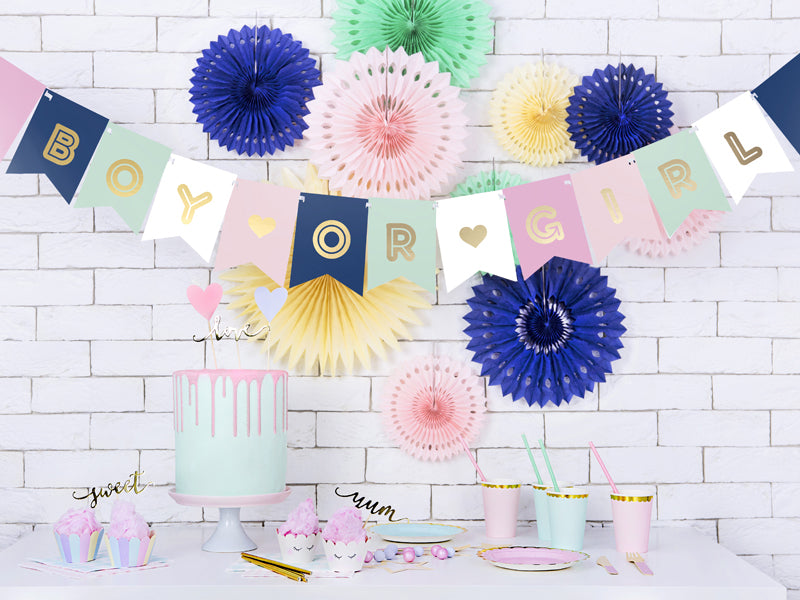 Banner-Boy-or-Girl-Mix-15-x-175-cm-PartyDeco-Lemina-2