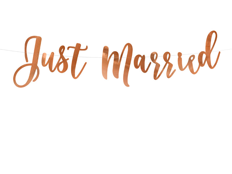 Banner-Just-Married,-roségold,-20x77cm-PartyDeco-Lemina-1