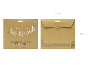 Banner-Just-Married,-roségold,-20x77cm-PartyDeco-Lemina-3