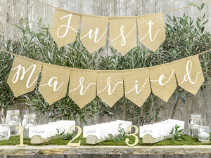 Banner-Just-married,-23x185cm-PartyDeco-Lemina-3