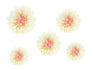 Dekoration-Seidenpapier-Blumen-Cremefarben-30-20cm-5Stk-PartyDeco-Lemina
