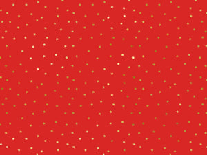 Geschenkpapier-Sterne-70x200cm-PartyDeco-Lemina