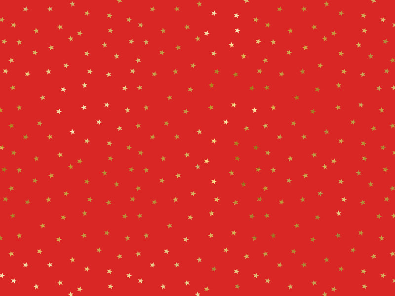 Geschenkpapier-Sterne-70x200cm-PartyDeco-Lemina