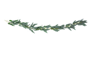 Girlande-Weidenblaetter-2m-PartyDeco-Lemina