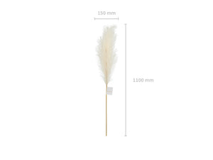 Kuenstliches-Pampasgras-Standard-Helle-Creme-15x110cm-PartyDeco-Lemina-5