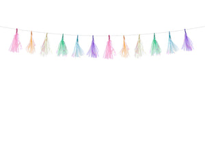 Quasten-Girlande-Mix-1-2m-PartyDeco-Lemina