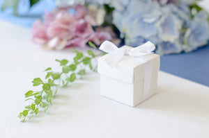 Schachtel-mit-Schleife-weiss-PartyDeco-Lemina-1