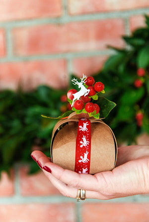 Schachteln-Kraftpapier-PartyDeco-Lemina-4