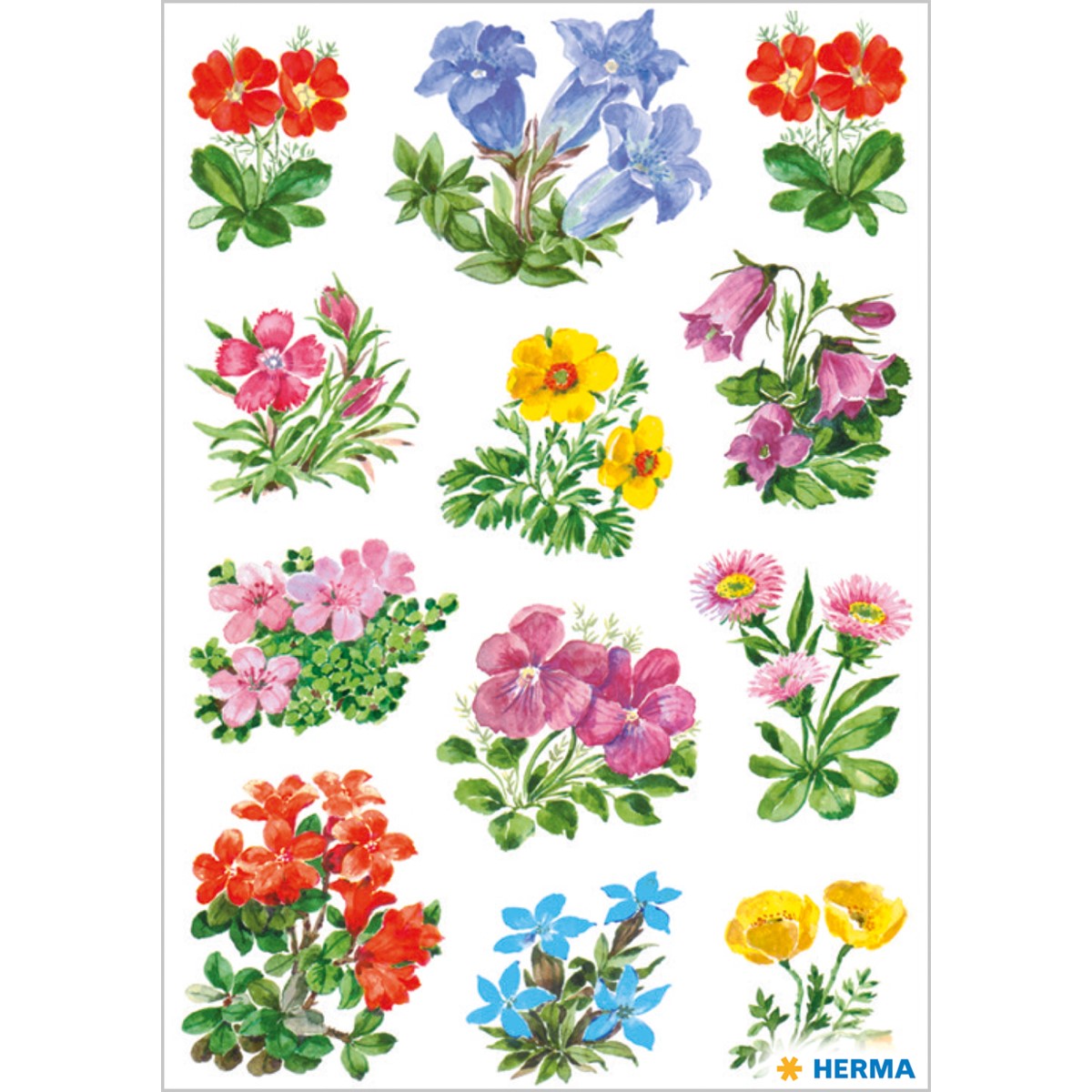 decor-sticker-gebirgsblumen-herma-0