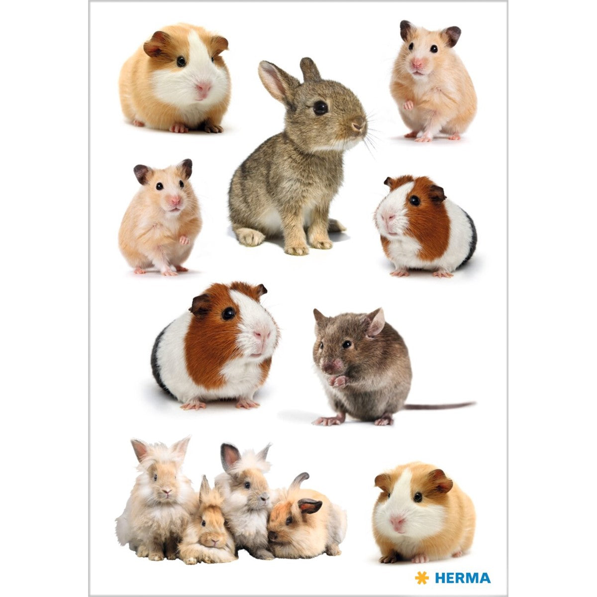 decor-sticker-nagerfamilie-herma-0