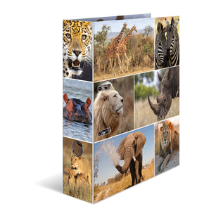 motivordner-afrika-tiere-a4-breit-herma