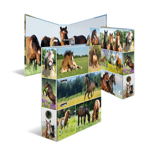 motivordner-animals-pferdewiese-a4-breit-herma