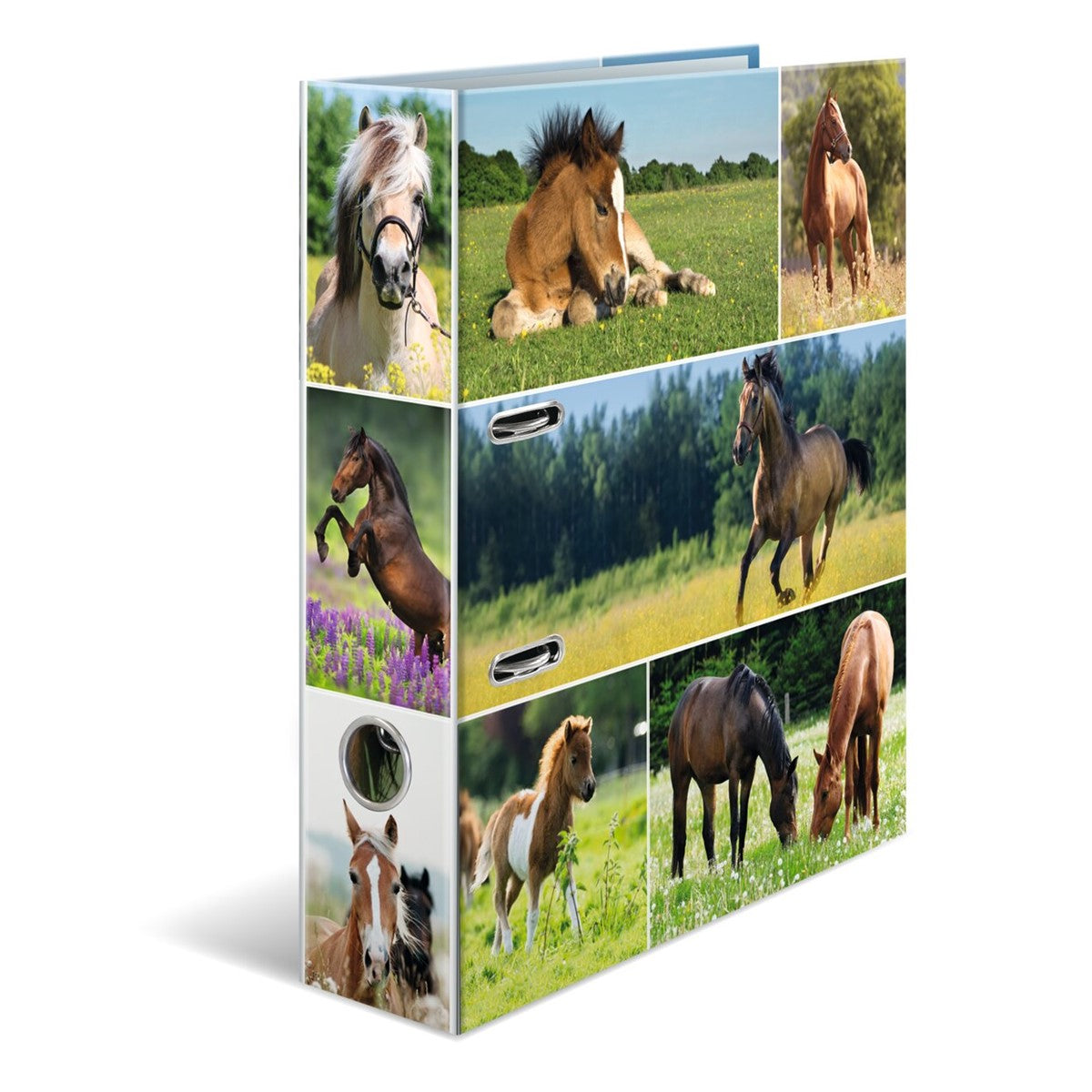 motivordner-animals-pferdewiese-a4-breit-herma