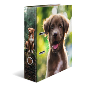 motivordner-hund-a4-breit-herma
