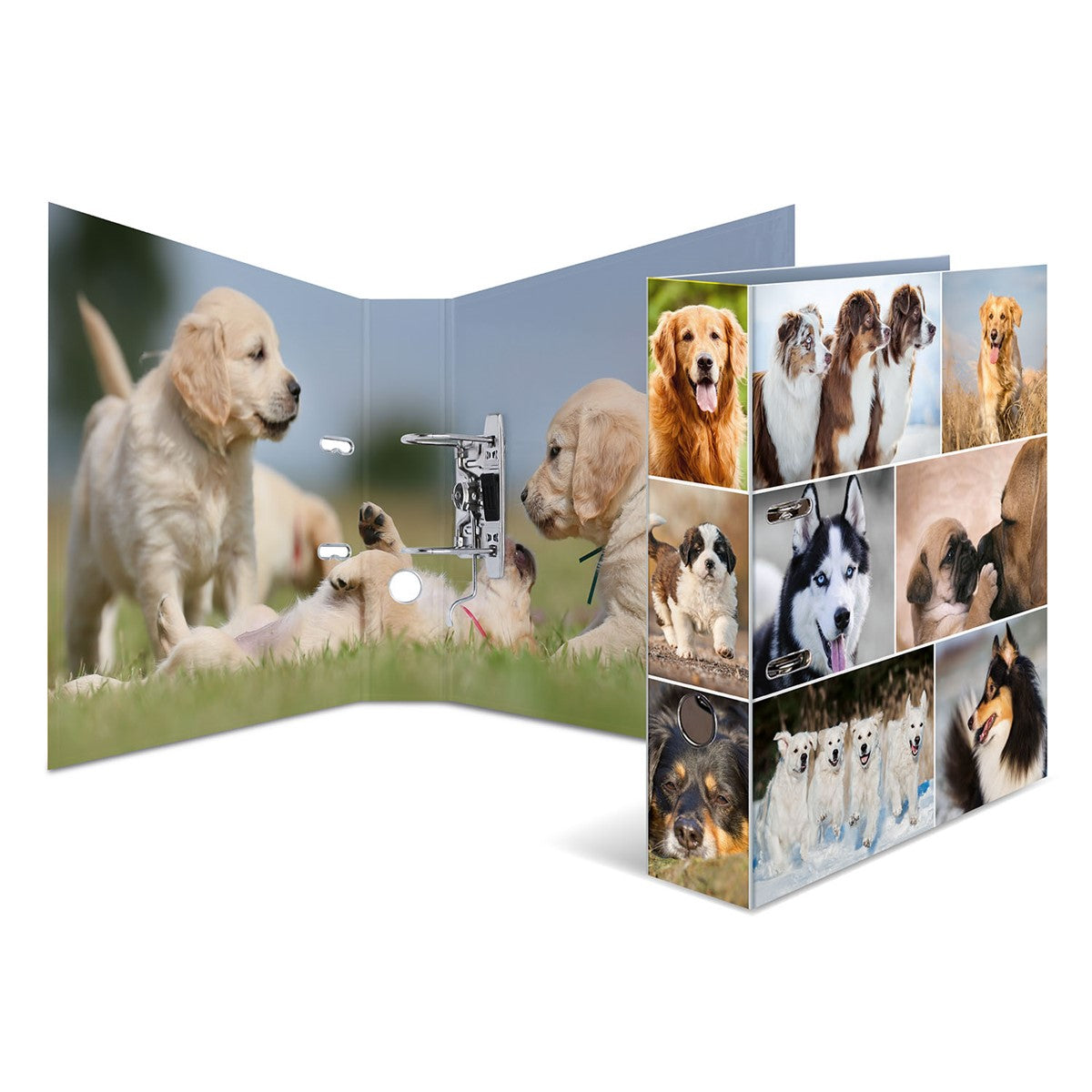 motivordner-hunde-a4-breit-herma-0