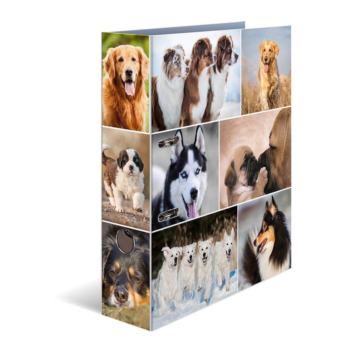 motivordner-hunde-a4-breit-herma