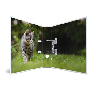 motivordner-katze-a4-breit-herma-1