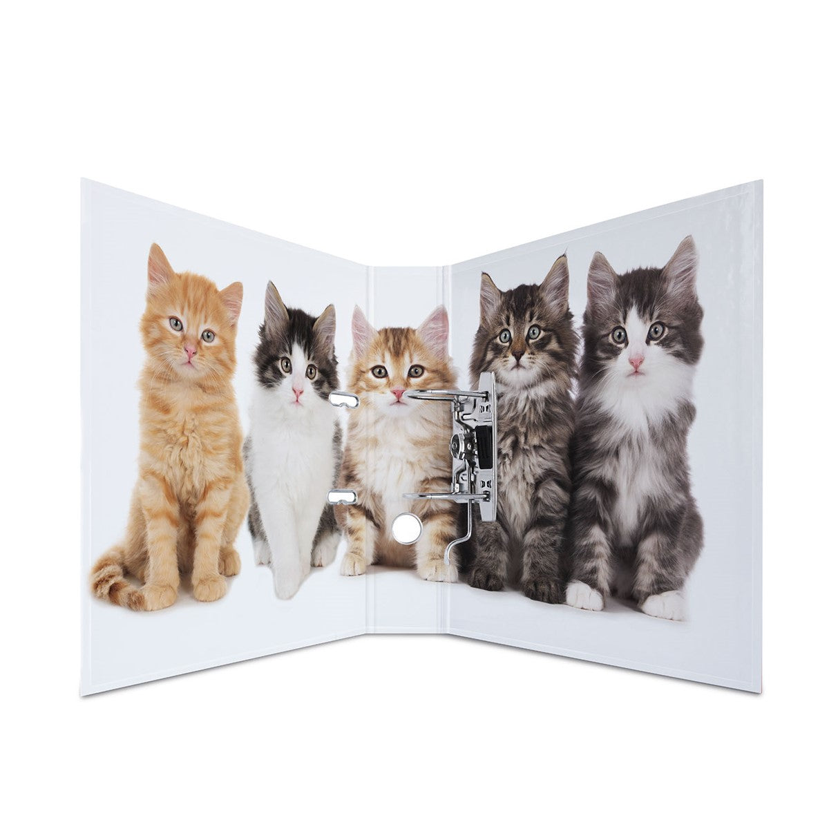 motivordner-katzen-a4-breit-herma-1