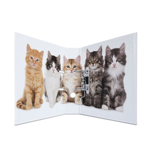 motivordner-katzen-a4-breit-herma-1
