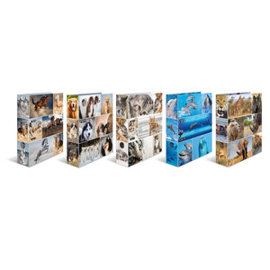 ordner-set-animals-a4-herma-lemina