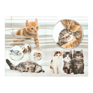 papierkorb-katze-herma-9