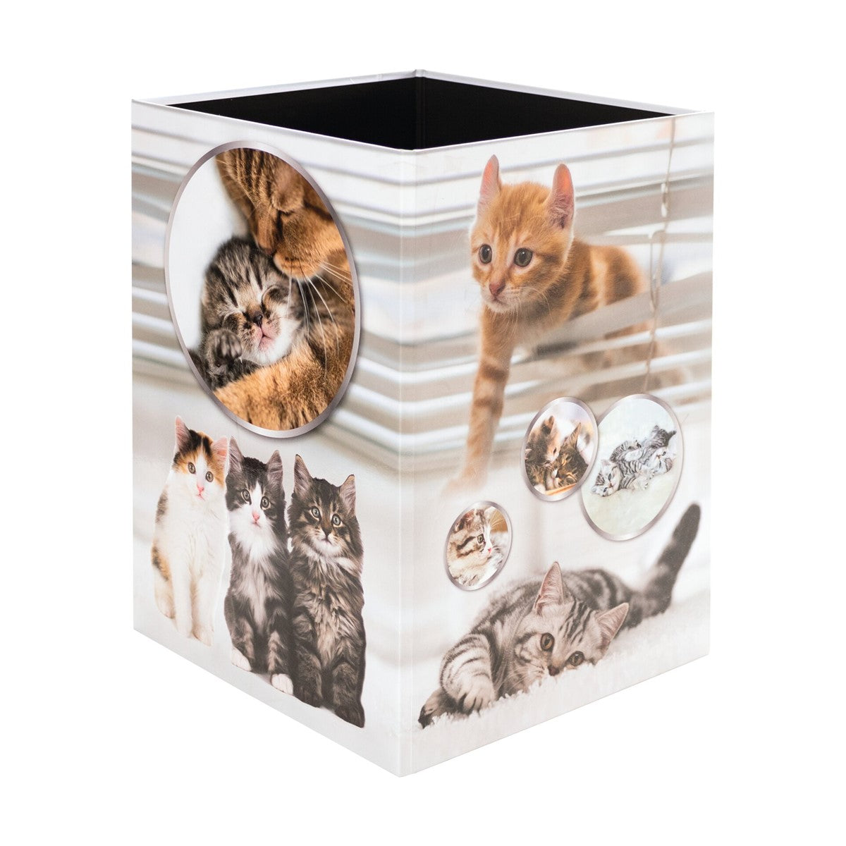 papierkorb-katze-herma