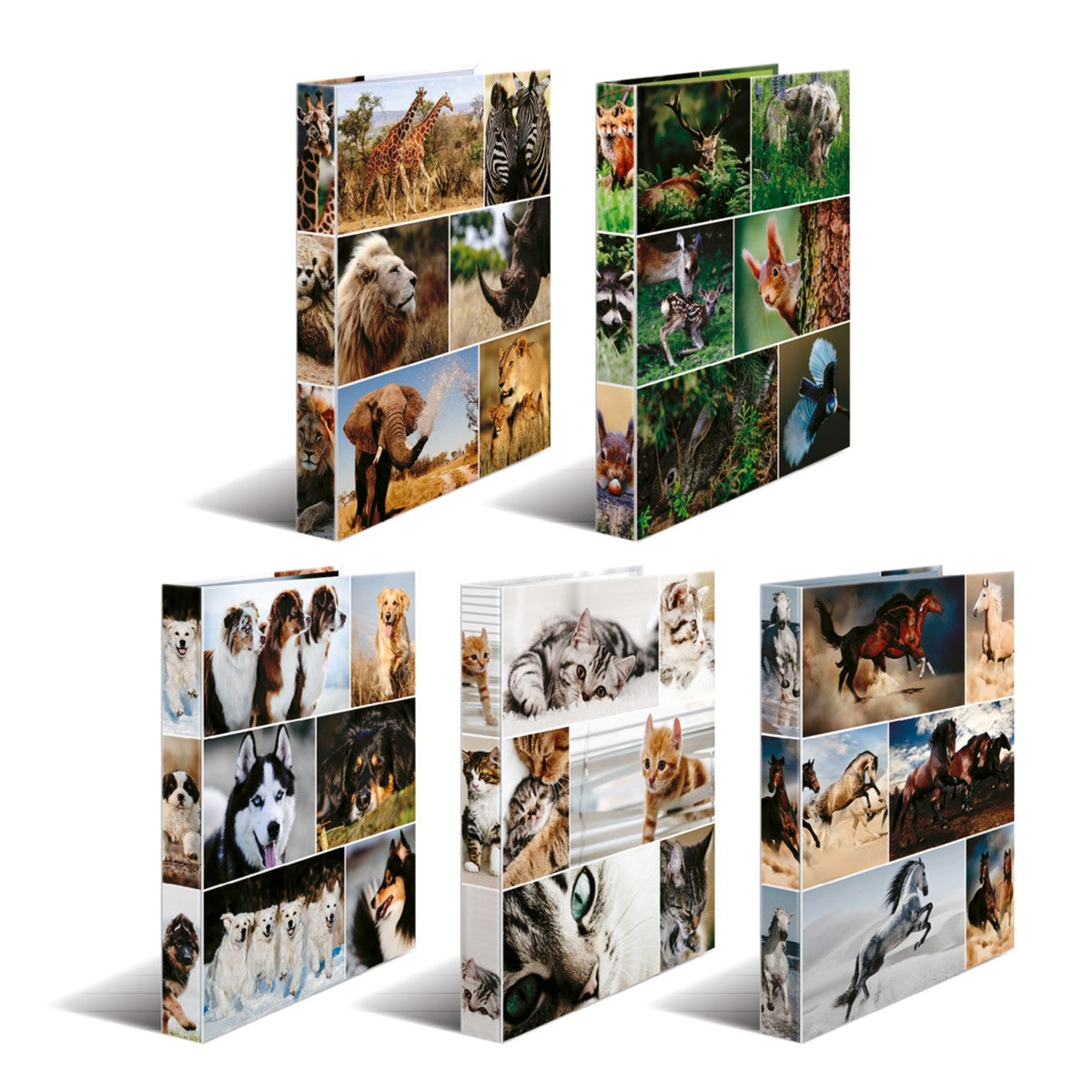 ringbuch-10er-set-tiere-a4-herma-lemina-0