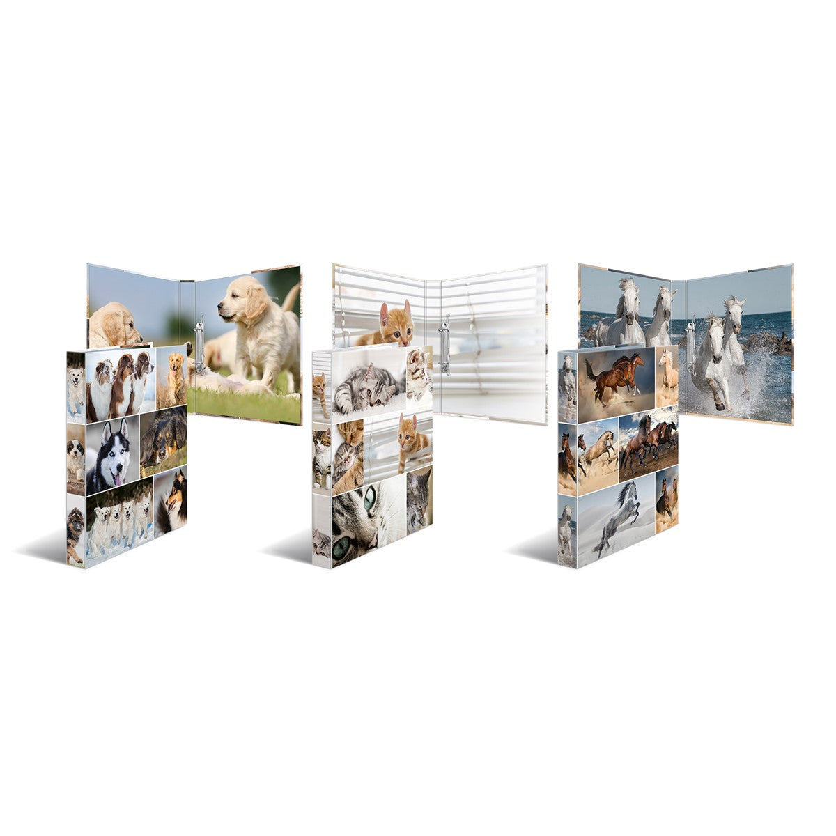 ringbuch-a4-karton-2d-katzen-herma-2