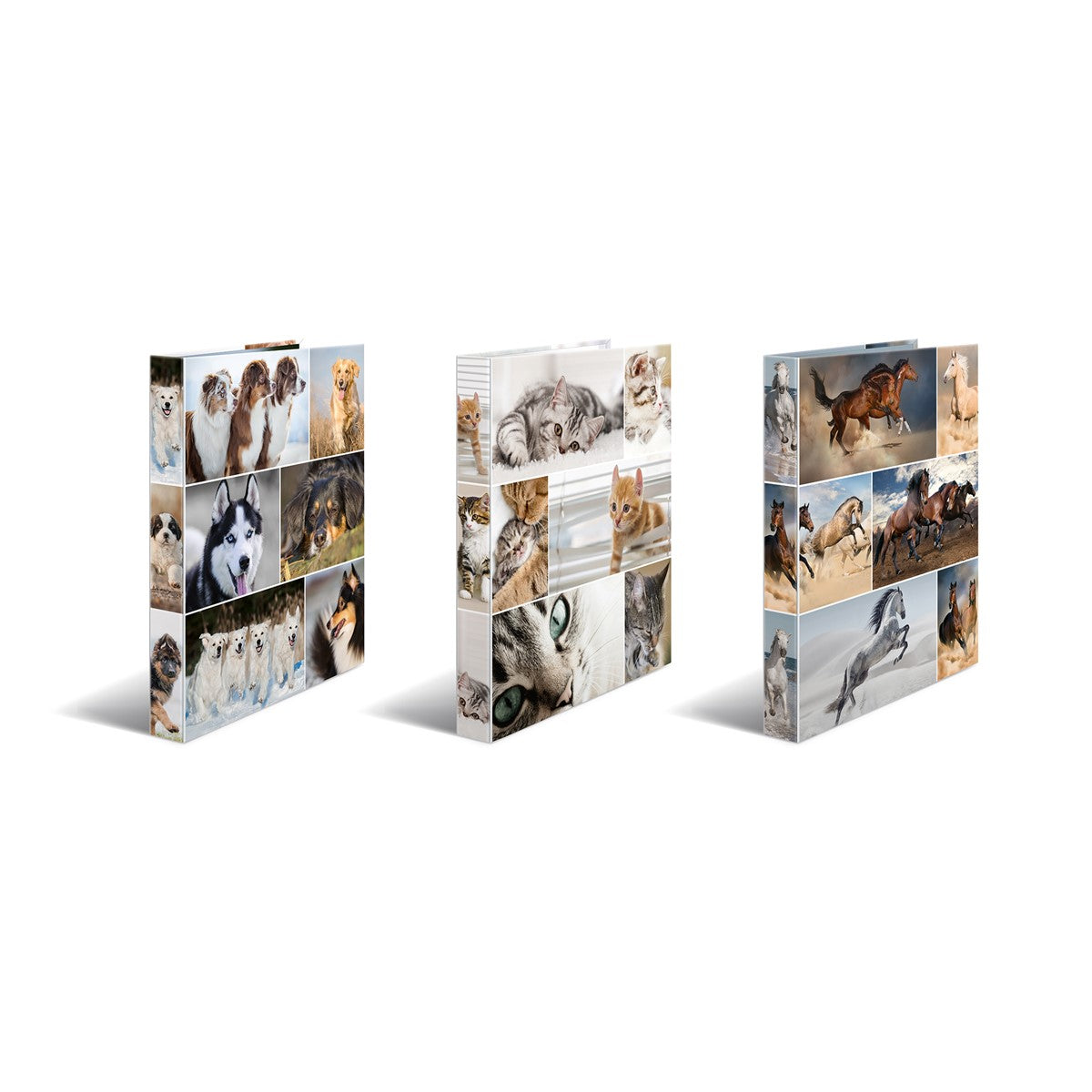 ringbuch-a4-karton-2d-katzen-herma-3