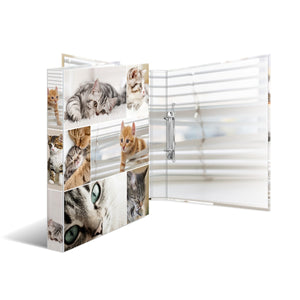 ringbuch-a4-karton-2d-katzen-herma