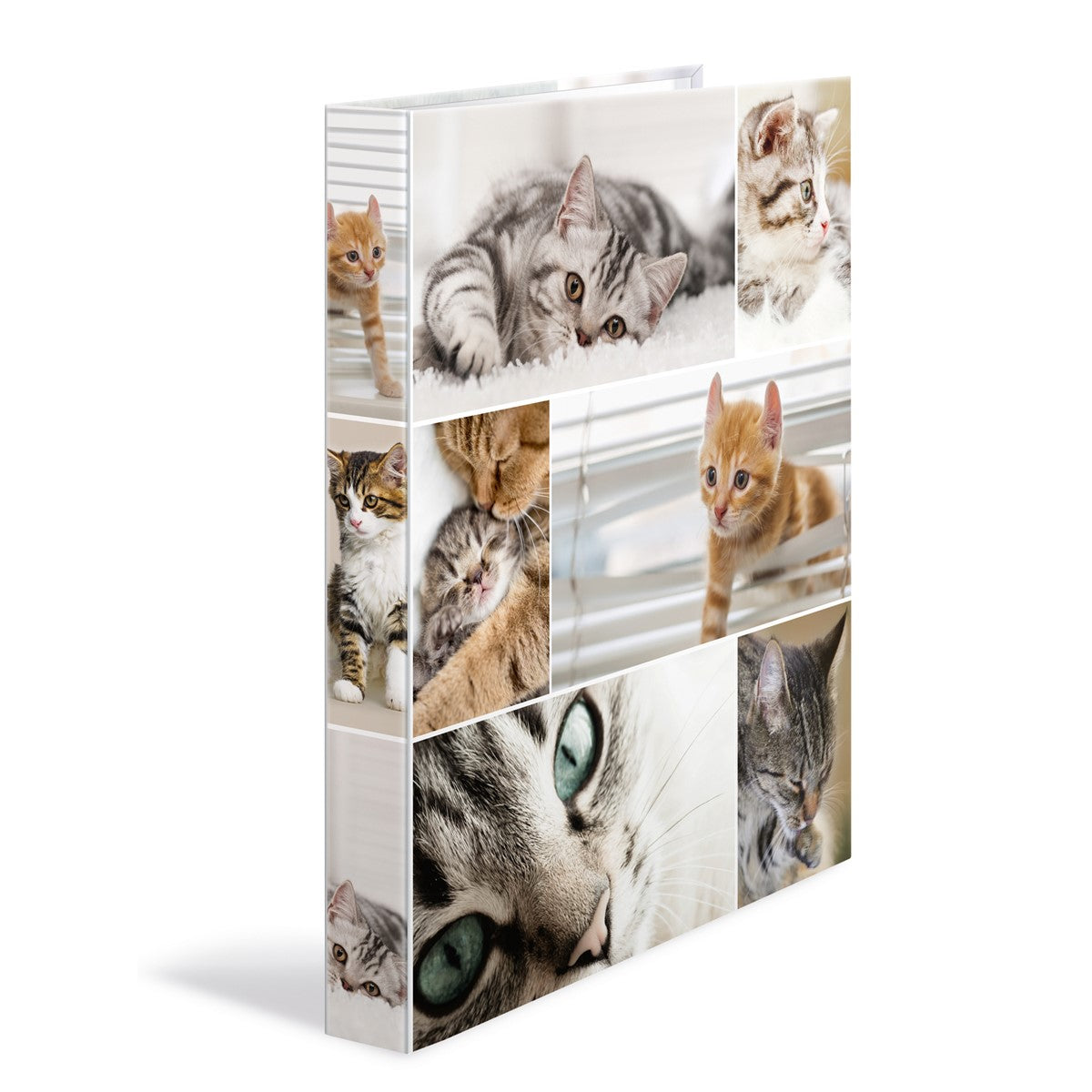 ringbuch-a4-karton-4d-katzen-herma-0