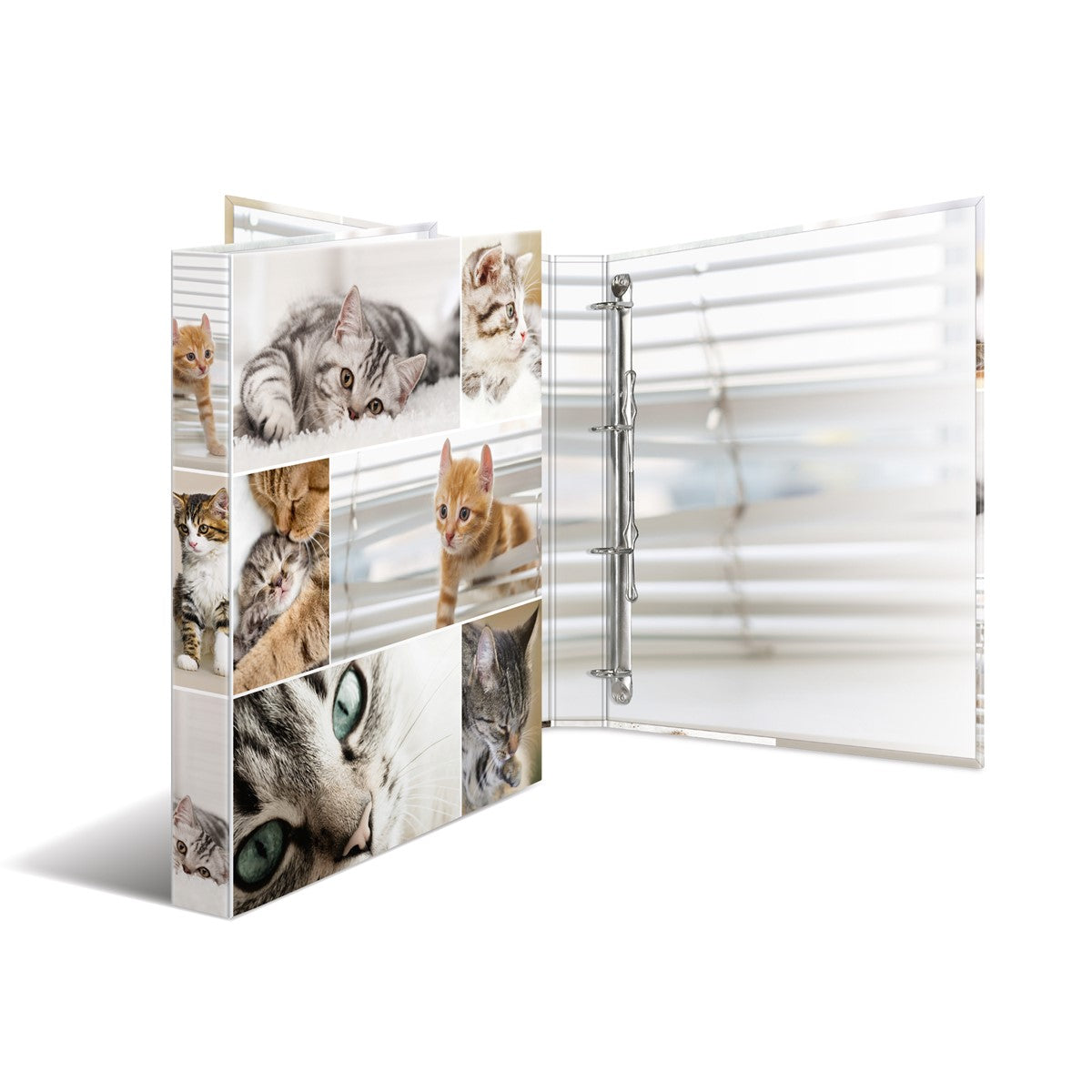 ringbuch-a4-karton-4d-katzen-herma