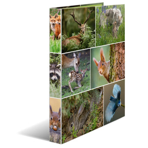 ringbuch-a4-waldtiere-herma-0
