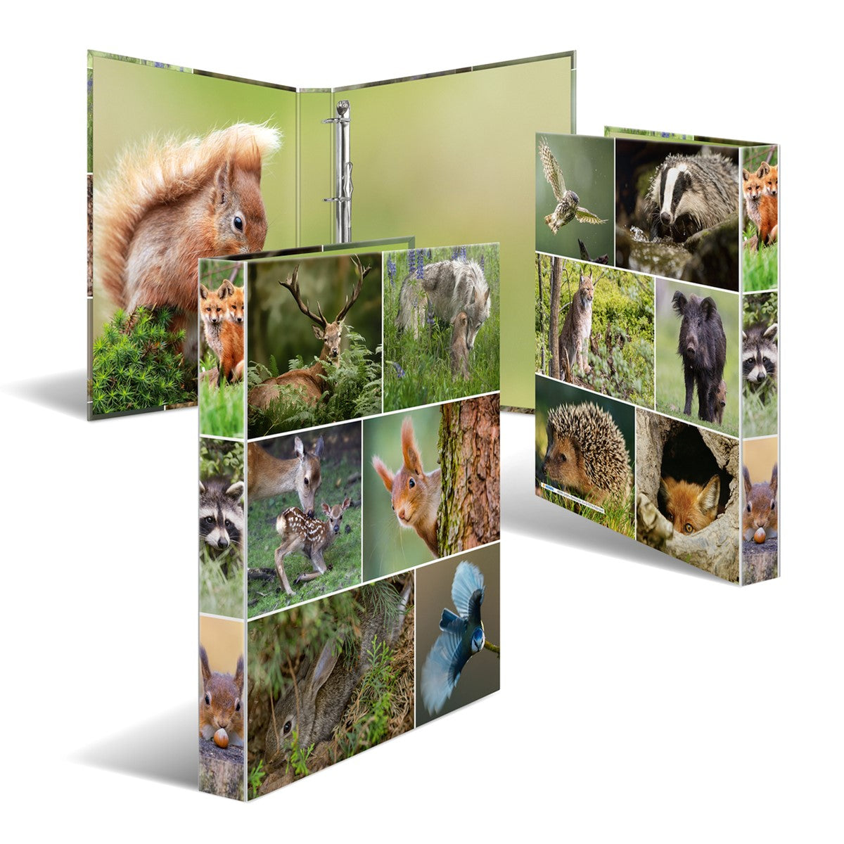 ringbuch-a4-waldtiere-herma-1