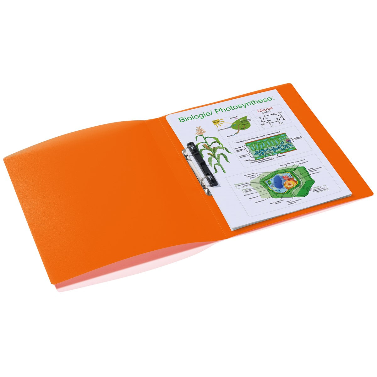 ringbuch-orange-25-mm-2d-ring-mechanik-pp-herma-2