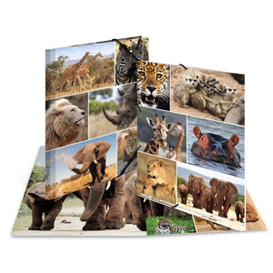 sammelmappe-afrika-tiere-a3-a4-herma