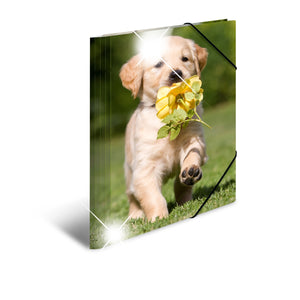 sammelmappe-glossy-hunde-a3-a4-herma
