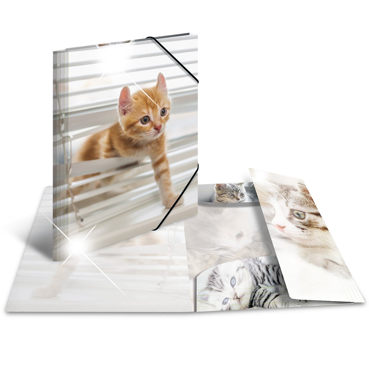 sammelmappe-glossy-katzen-a3-a4-herma