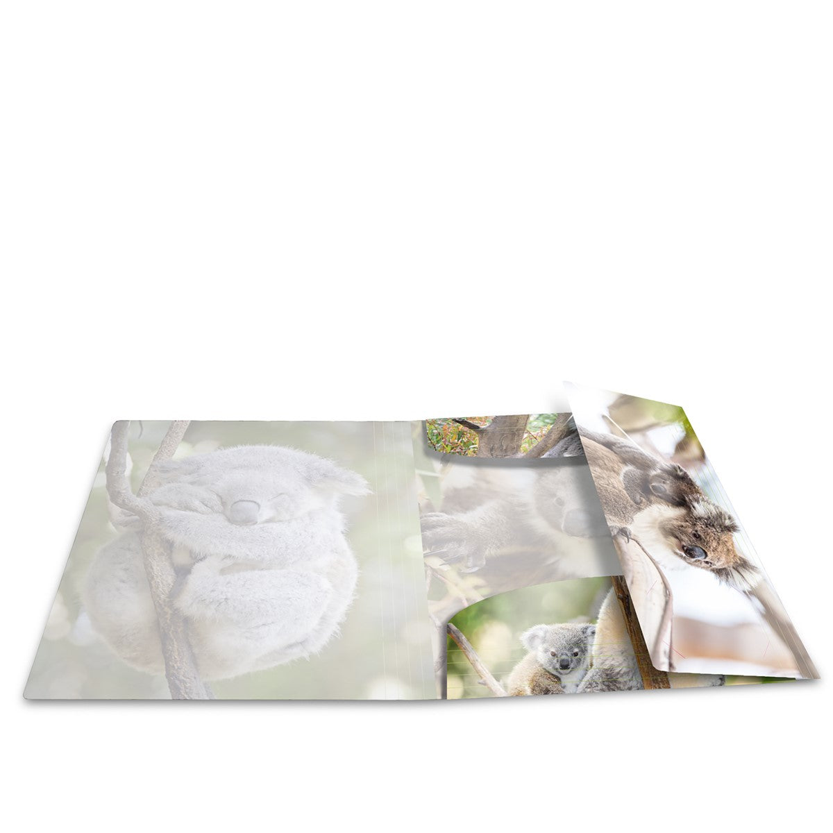 sammelmappe-glossy-koala-a4-herma-1