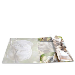 sammelmappe-glossy-koala-a4-herma-1