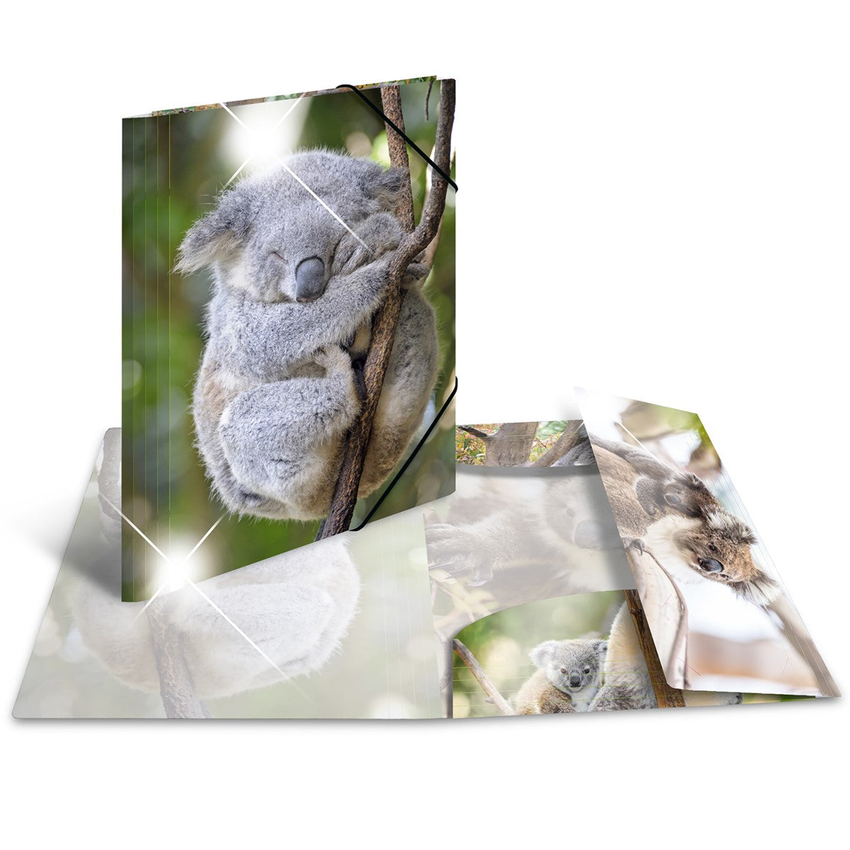 sammelmappe-glossy-koala-a4-herma