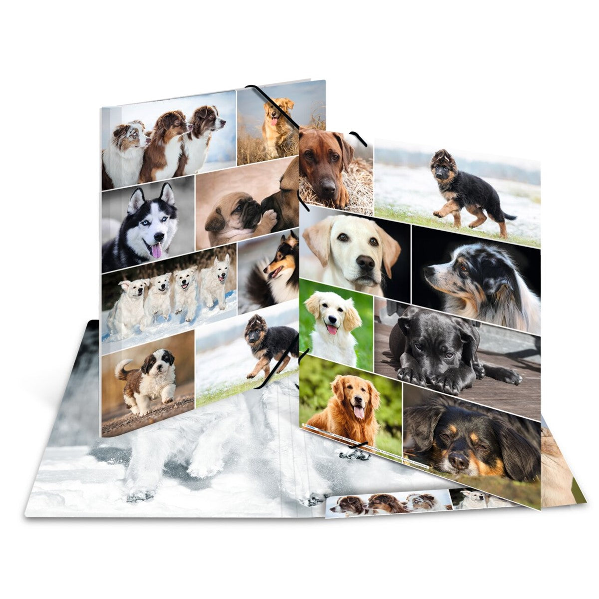 sammelmappe-hunde-a3-a4-herma-9