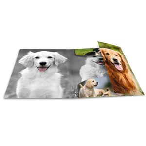 sammelmappe-hunde-a3-herma