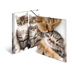 sammelmappe-katzen-a3-a4-herma
