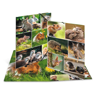 sammelmappe-nagetiere-a3-a4-herma