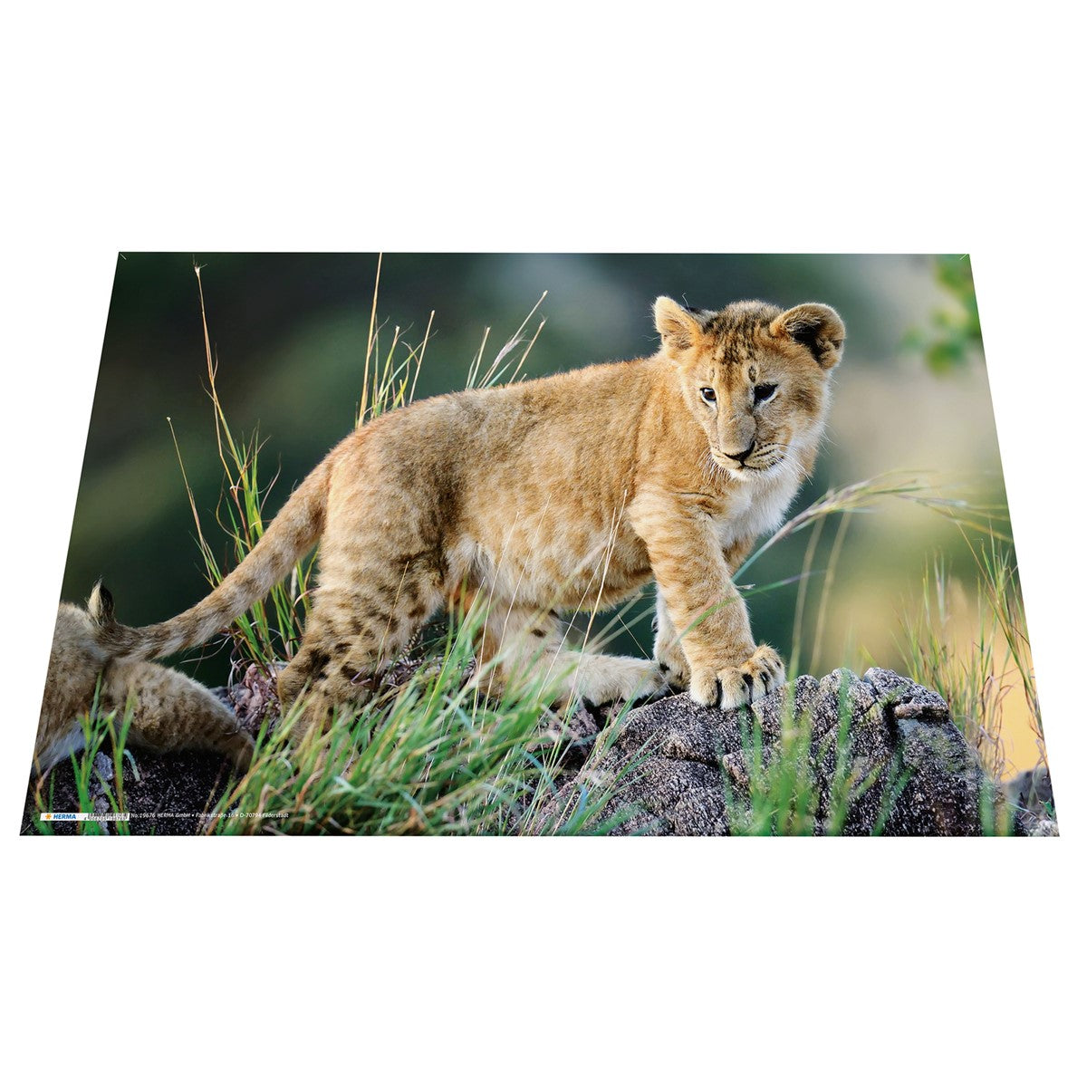 schreibtischunterlage-afrika-tiere-herma-0