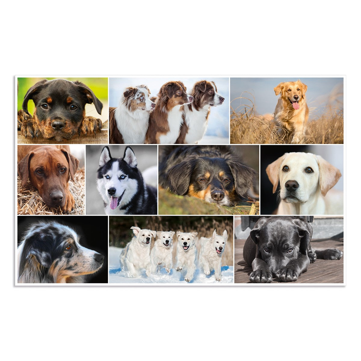 schreibtischunterlage-hunde-herma-0