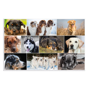 schreibtischunterlage-hunde-herma-0