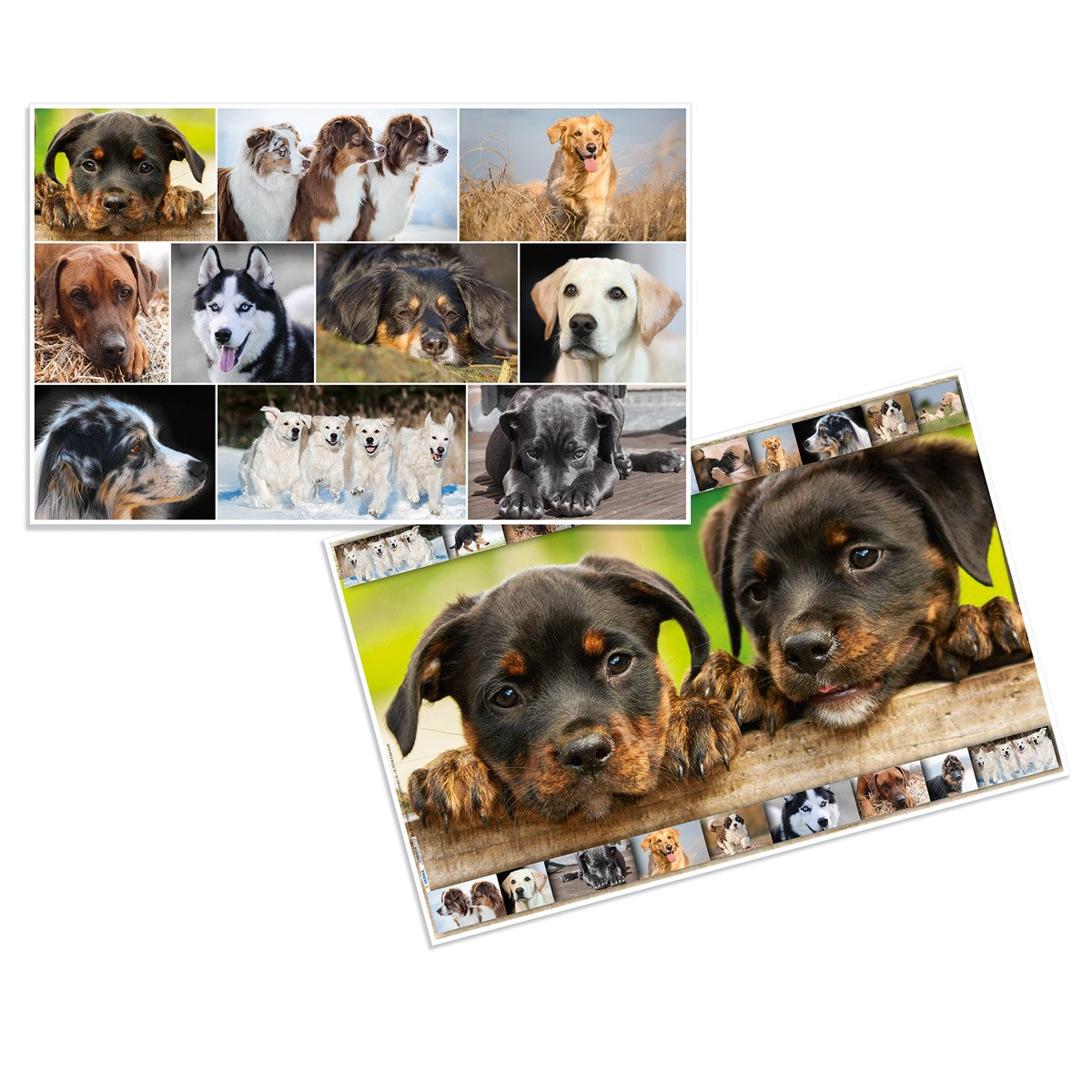 schreibtischunterlage-hunde-herma